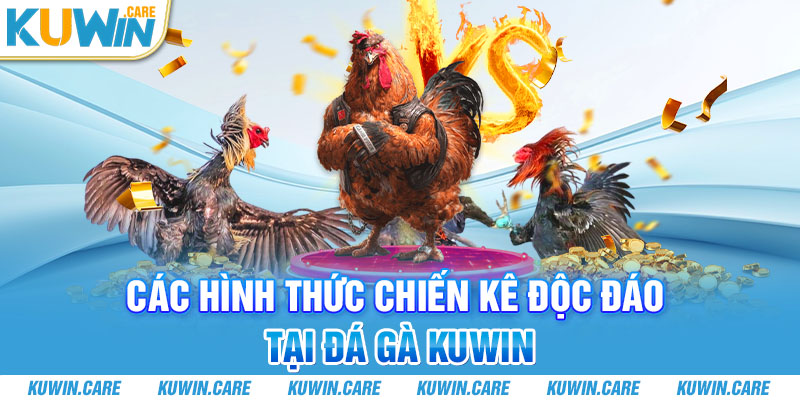 Những hình thức đá gà Kuwin bùng nổ nhất thị trường hiện nay 